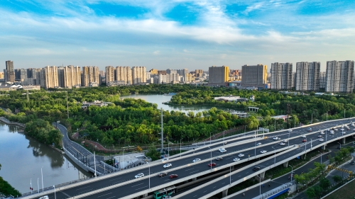 九龍霧景